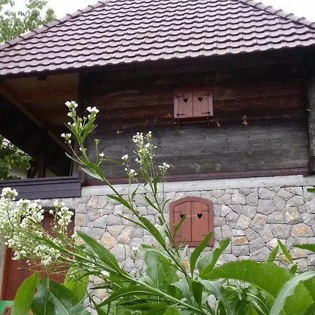 Pod Jabukom, Zlatibor, Rudine Seoska kuća *