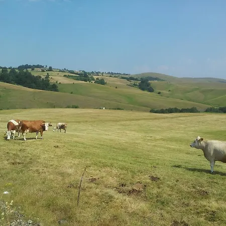 Pod Jabukom, Zlatibor, Rudine Séjour à la campagne Zlatibor