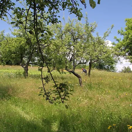 Seoska kuća Pod Jabukom, Zlatibor, Rudine