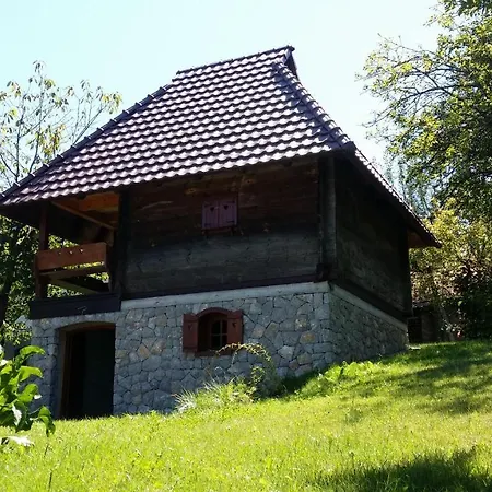 Pod Jabukom, Zlatibor, Rudine